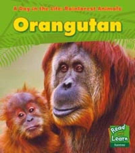 Orangutan (A Day in the Life: Rain Forest Animals)
