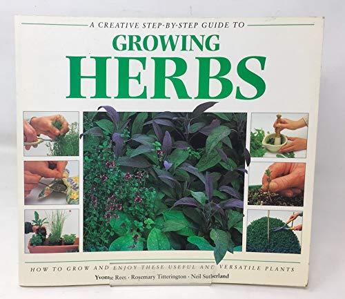 A Creative Step by Step Guide to Growing Herbs