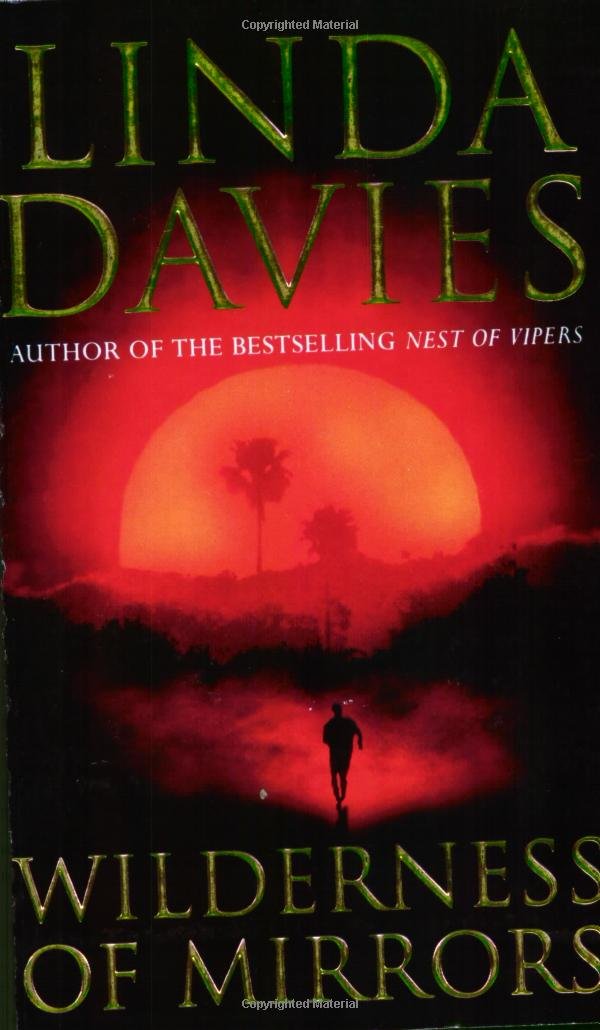 Wilderness Of Mirrors