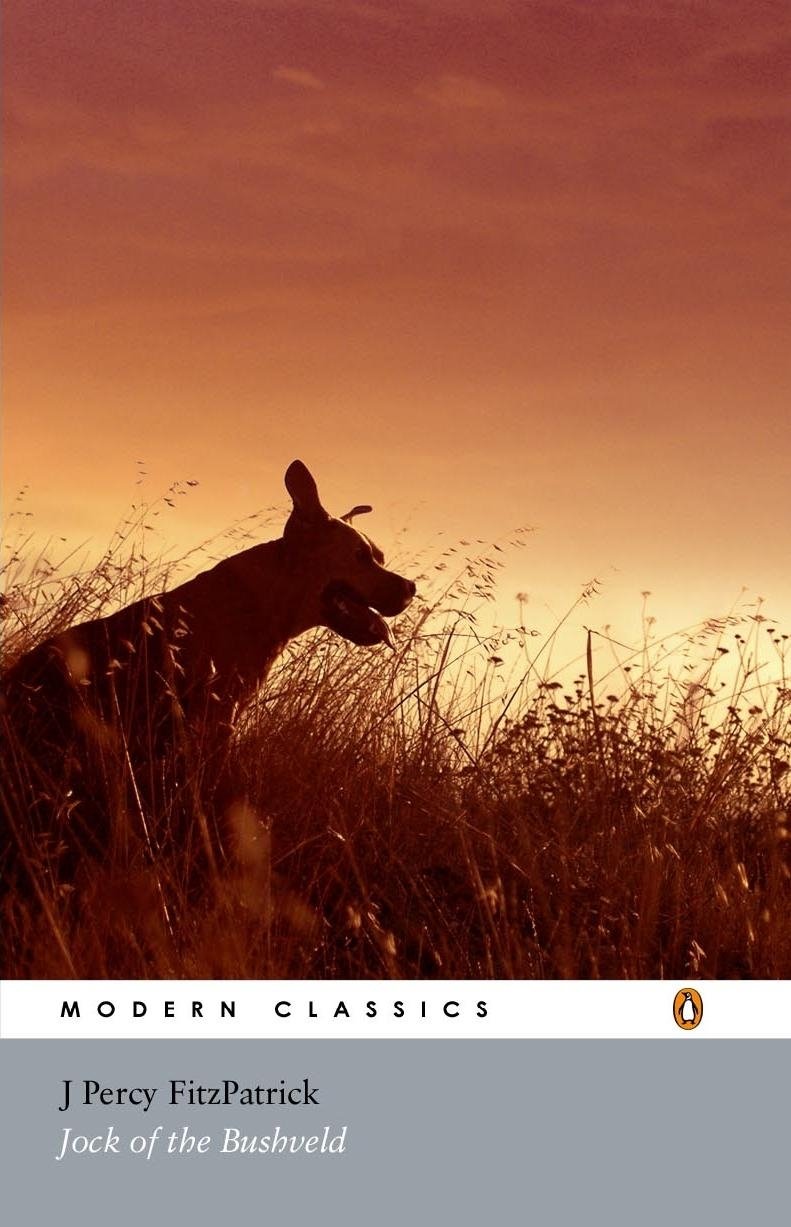 Jock of the Bushveld (Penguin Modern Classics)