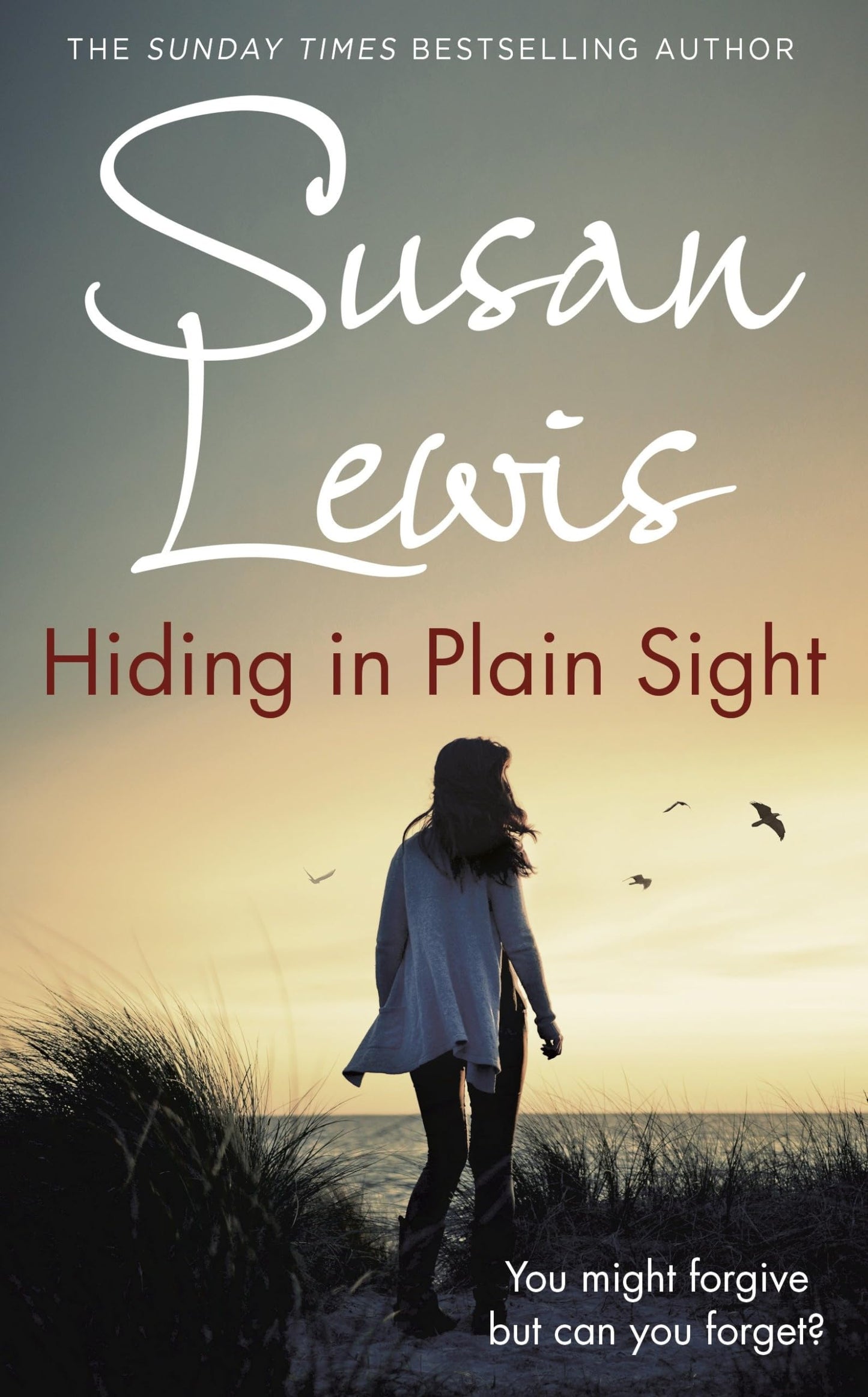 Hiding in Plain Sight (The Detective Andee Lawrence Series)