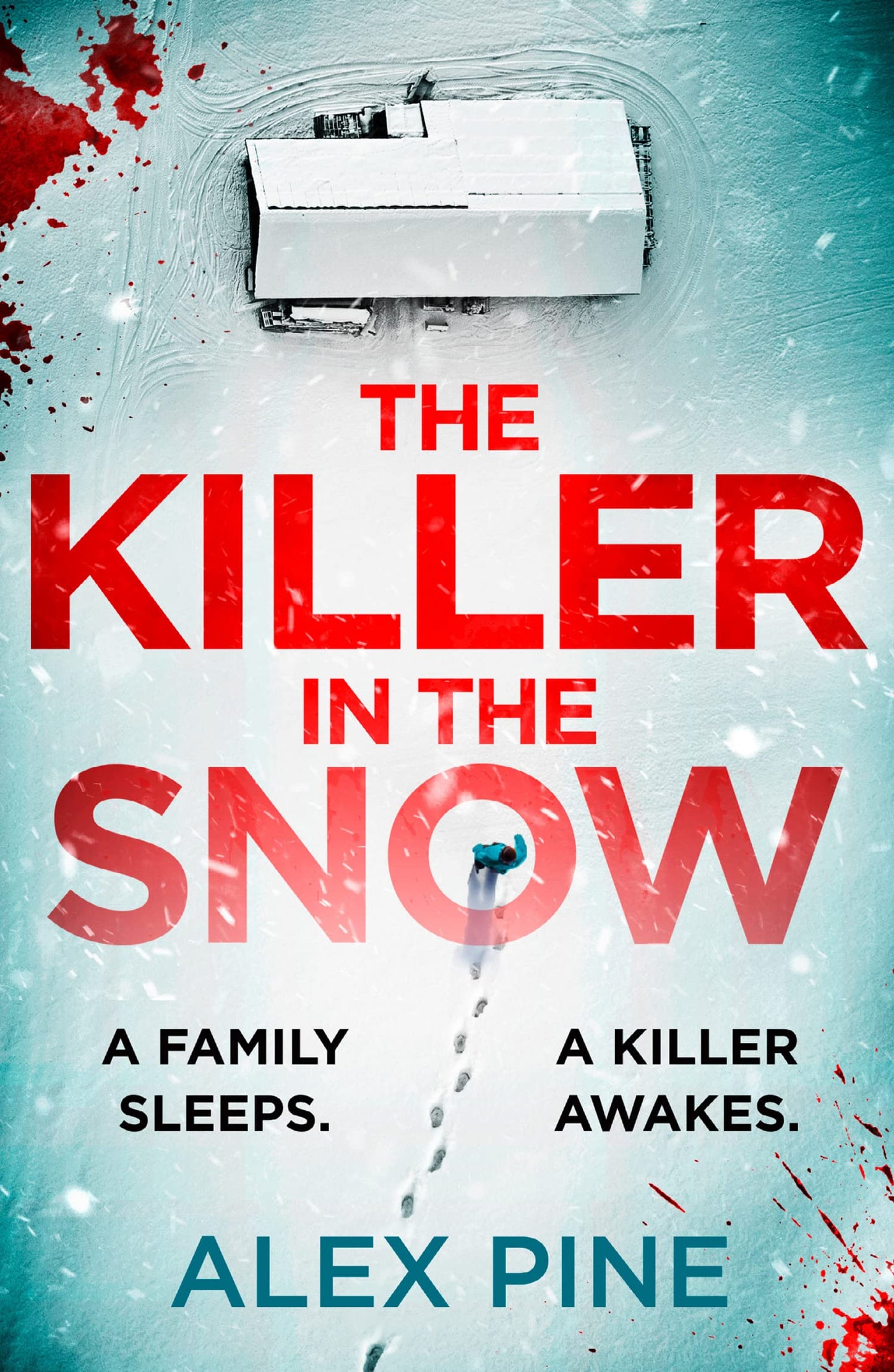 The Killer in the Snow: The new and most chilling British detective crime fiction book you’ll read this year: Book 2 (DI James Walker series)