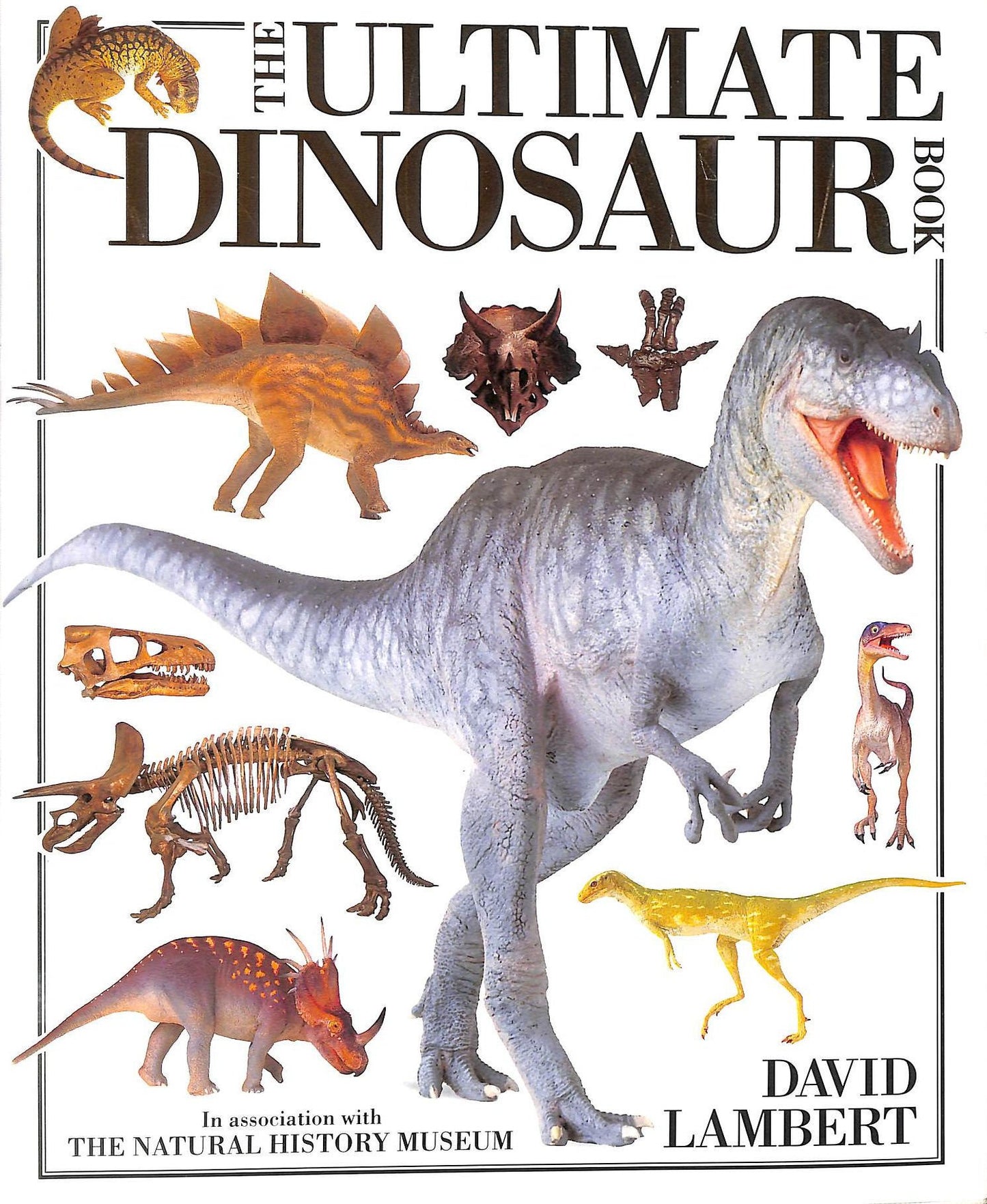 Ultimate Dinosaur Book