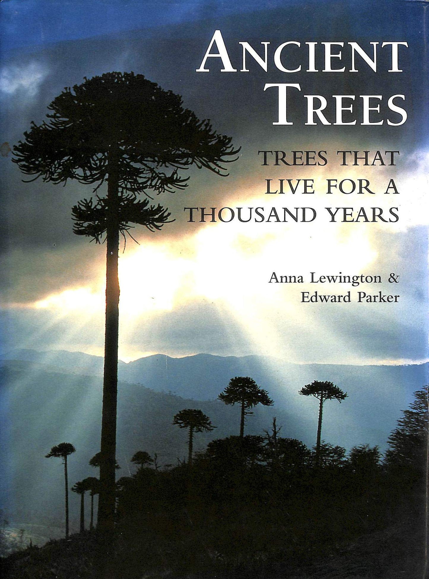 ANCIENT TREES: Trees That Live for 1000 Years
