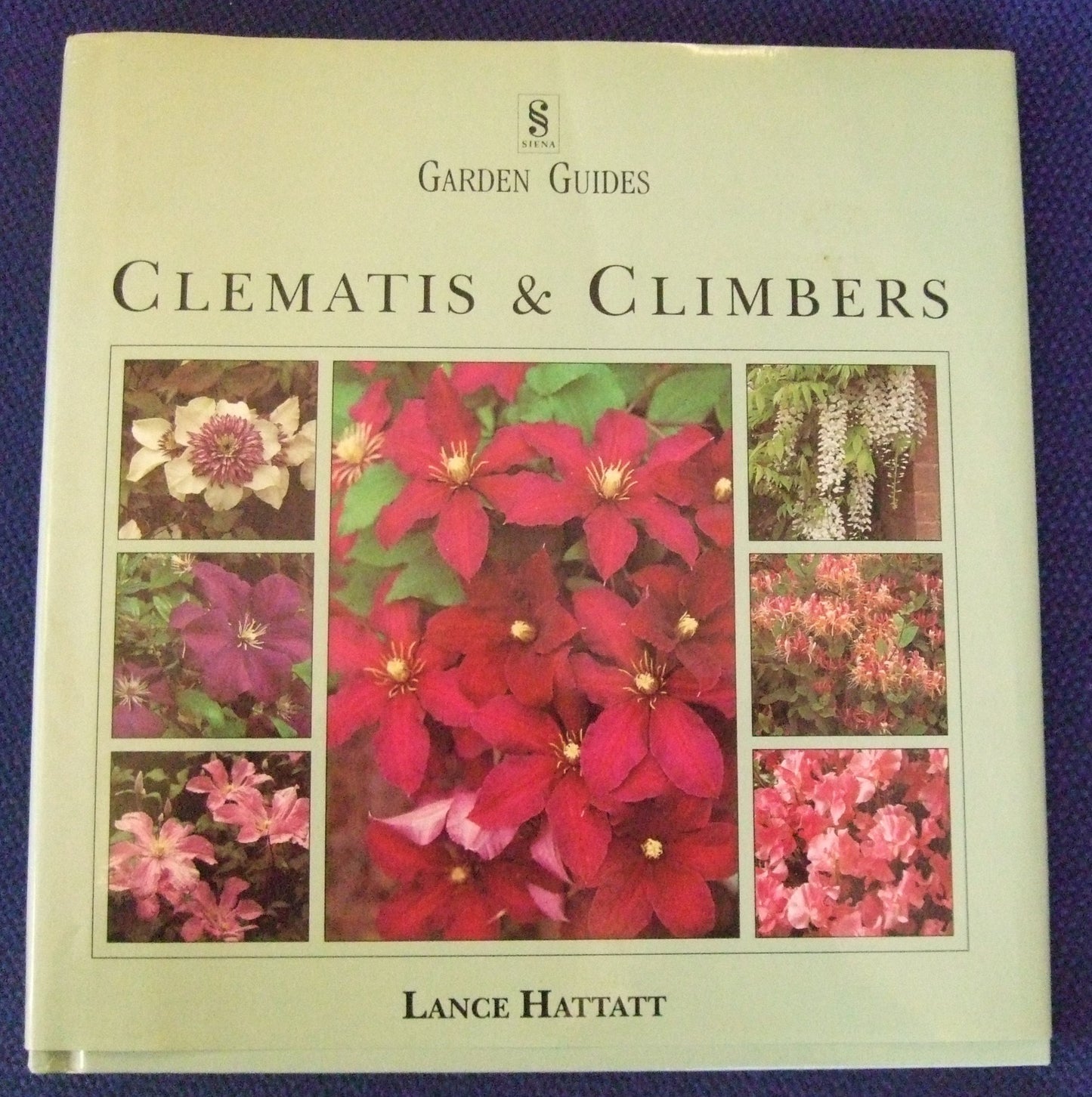 Clematis and Climbers (Gardening Guides)