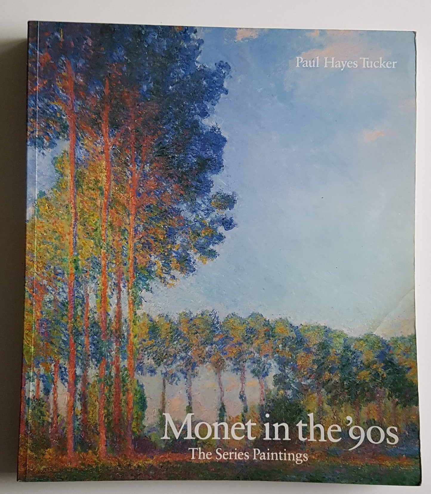 Monet in the 90s: The Series Paintings