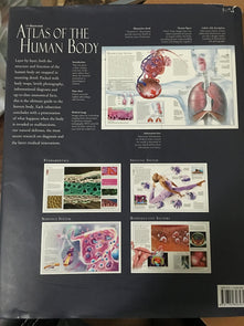 The Illustrated Atlas of the Human Body