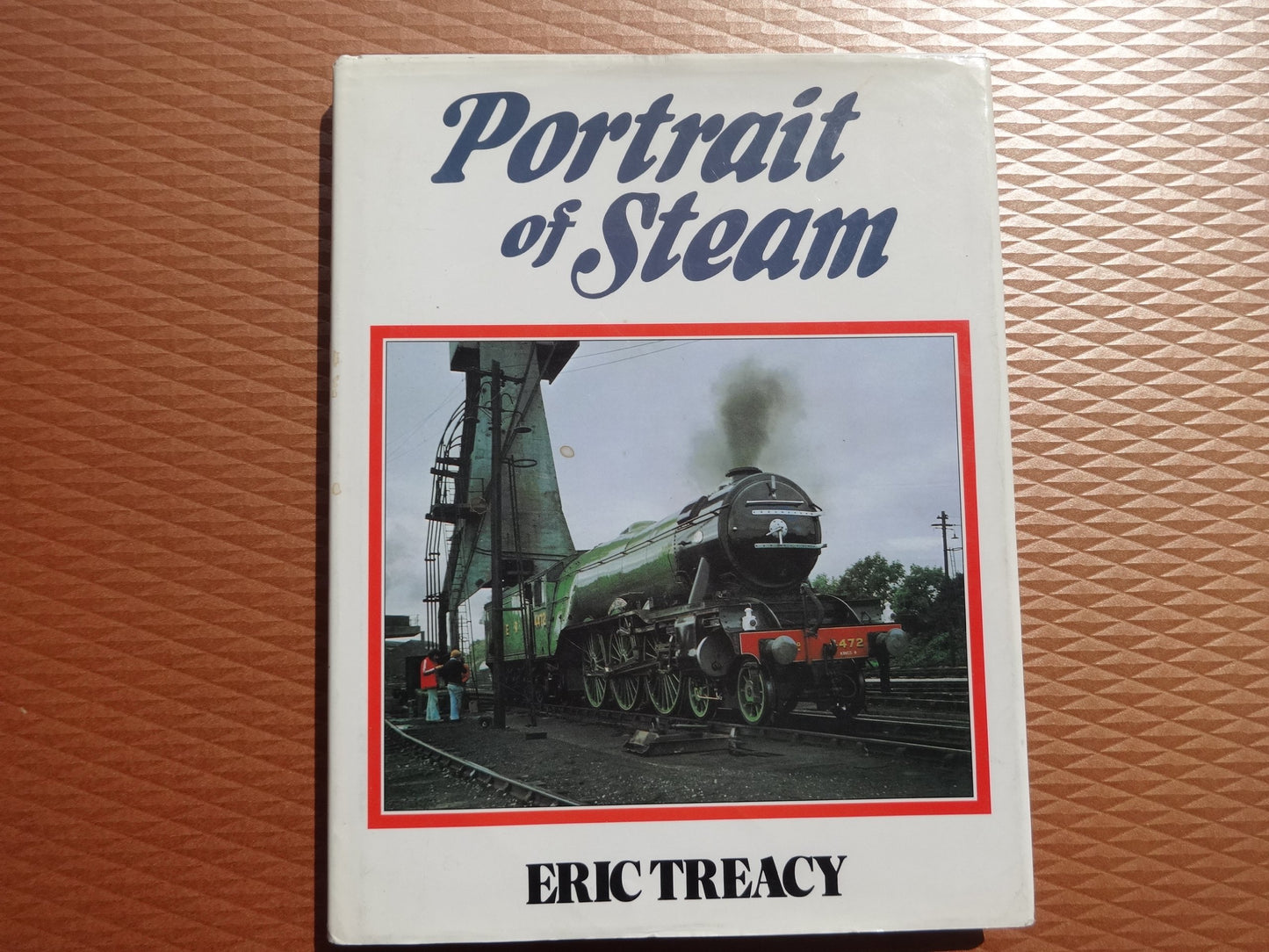 Portrait of Steam