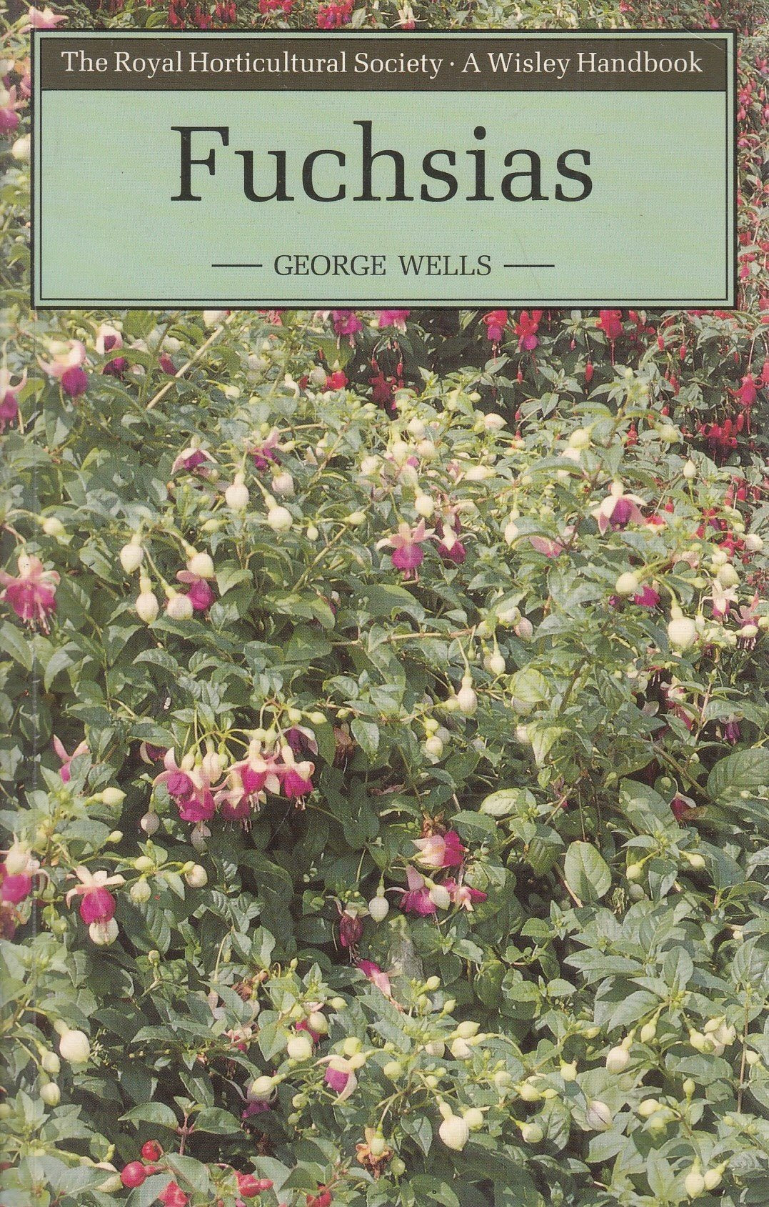 Wh: Fuchsias (Wisley Handbooks)