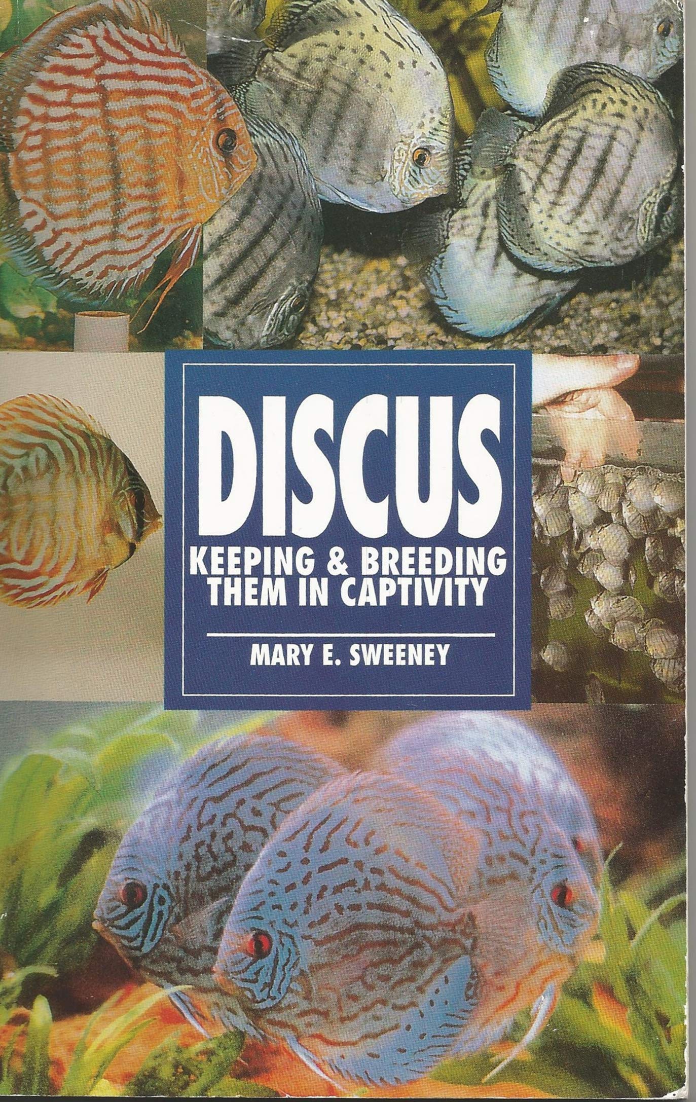 Discus