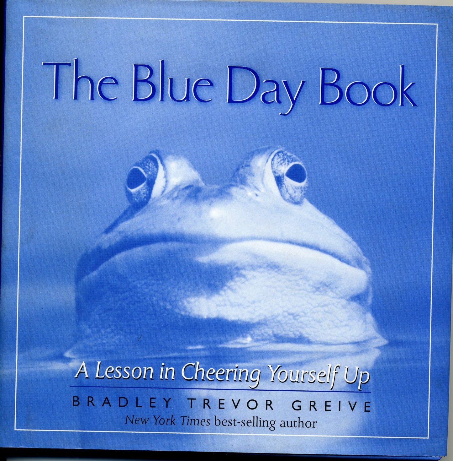 BLUE DAY BOOK