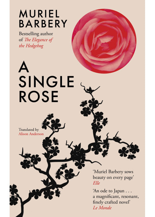 A Single Rose