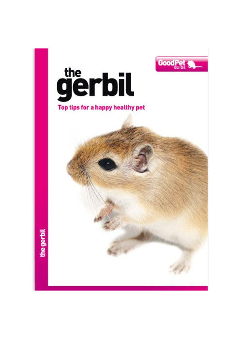 The Gerbil - Good Pet Guide