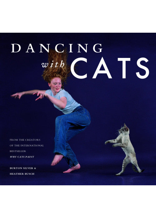 Dancing with Cats