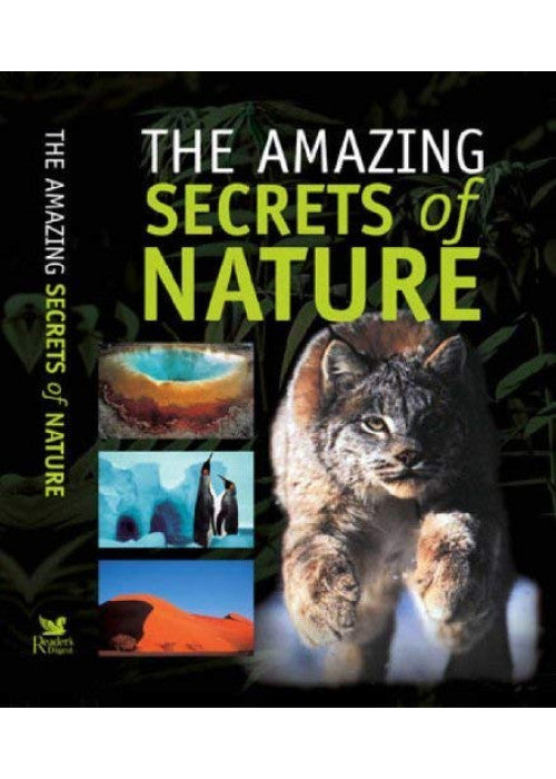 The Amazing Secrets of Nature