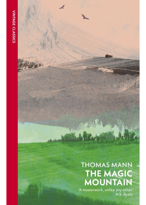 The Magic Mountain: As Seen on BBC Between the Covers (Vintage Classics)