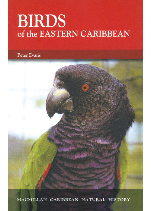 Birds Of The Eastern Caribbean (Macmillan Caribbean Pocket Natural History)