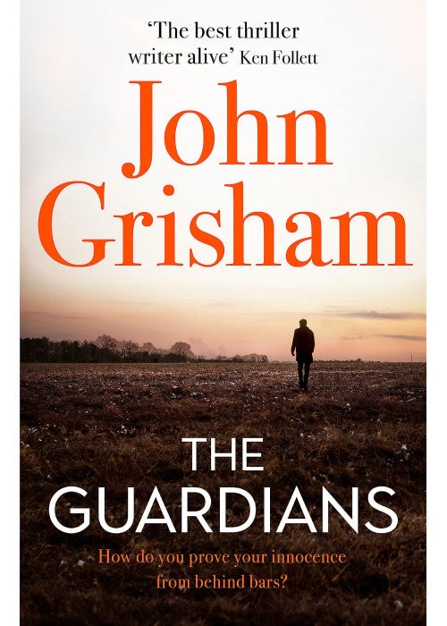 The Guardians: The Sunday Times Bestseller
