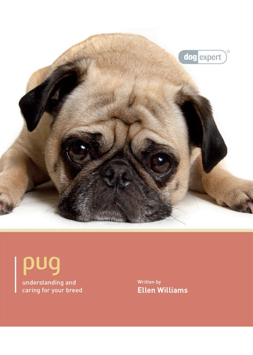 Pug - Dog Expert