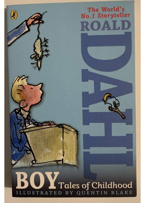 Boy: Tales of Childhood