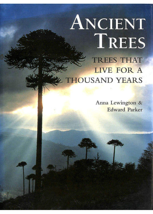 ANCIENT TREES: Trees That Live for 1000 Years