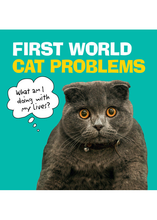 First World Cat Problems: What am I doing with my lives?