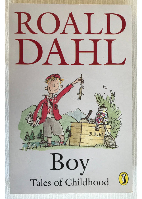 Boy: Tales of Childhood (Puffin Story Books)