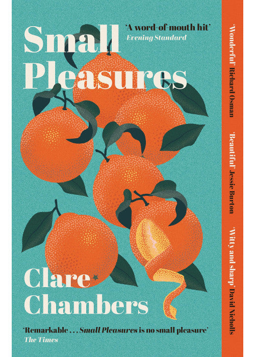 Small Pleasures: Longlisted for the Women's Prize for Fiction