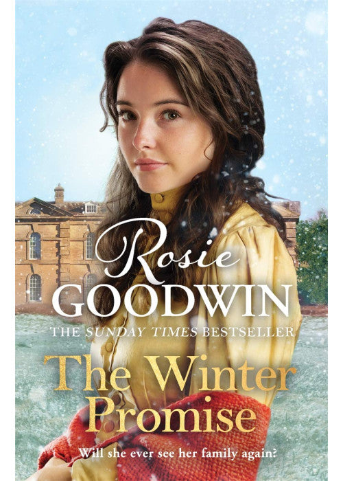 The Winter Promise: A perfect cosy Victorian saga from the Sunday Times bestselling author (Precious Stones)