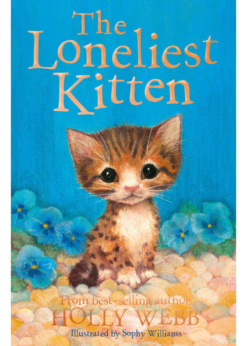 The Loneliest Kitten: 43 (Holly Webb Animal Stories, 43)