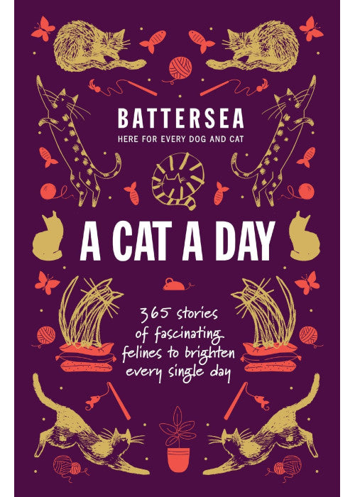 Battersea Dogs and Cats Home - A Cat a Day: 365 stories of fascinating felines to brighten every day