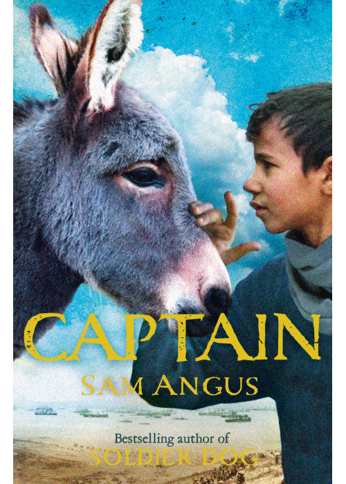 Captain