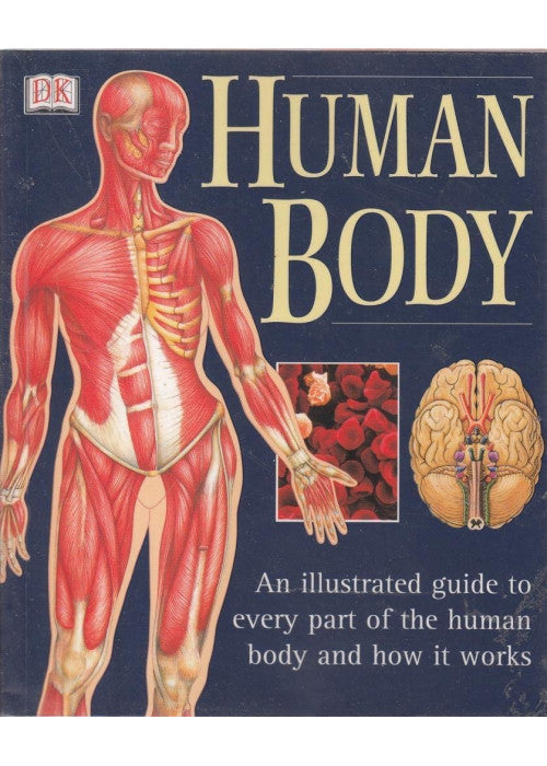 Human Body: An Illustrated Guide To Every Part Of The Human Body And How It Works