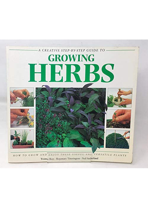 A Creative Step by Step Guide to Growing Herbs