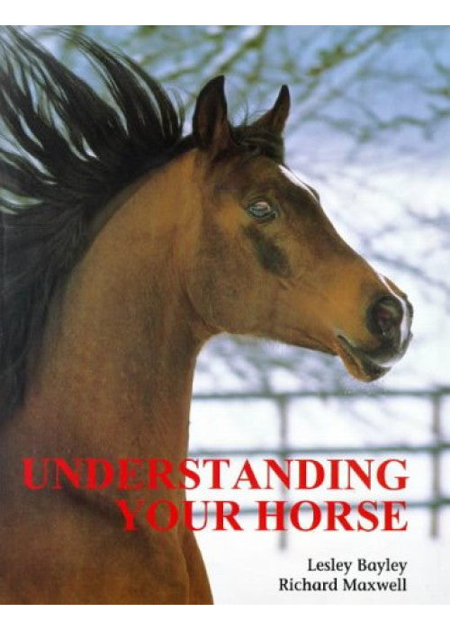 Understanding Your Horse: How to Overcome Common Behaviour Problems