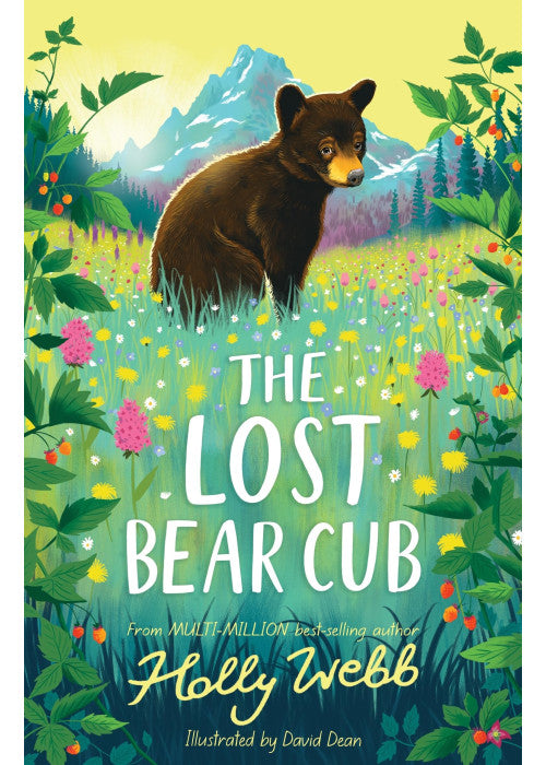 The Lost Bear Cub (Summer Wildlife Stories)