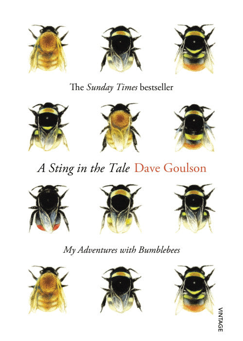A Sting in the Tale: My Adventures with Bumblebees