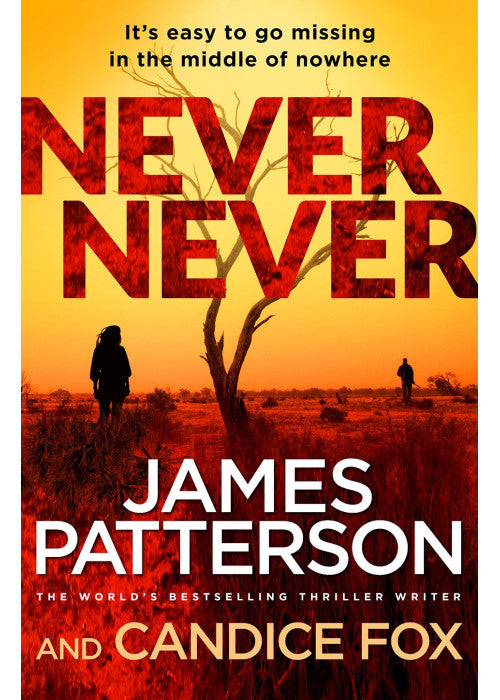 Never Never: (Harriet Blue 1) (Detective Harriet Blue Series)