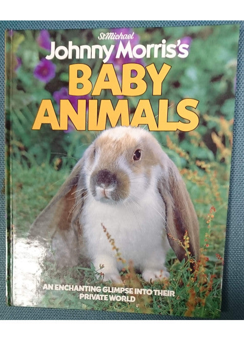 baby animals