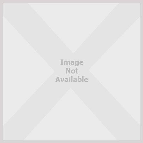 A Series of Unfortunate Events : The Miserable Mill