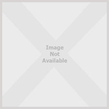 A Series of Unfortunate Events : The Miserable Mill