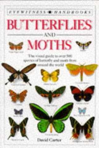 Eyewitness Handbook: 03 Butterflies & Moths