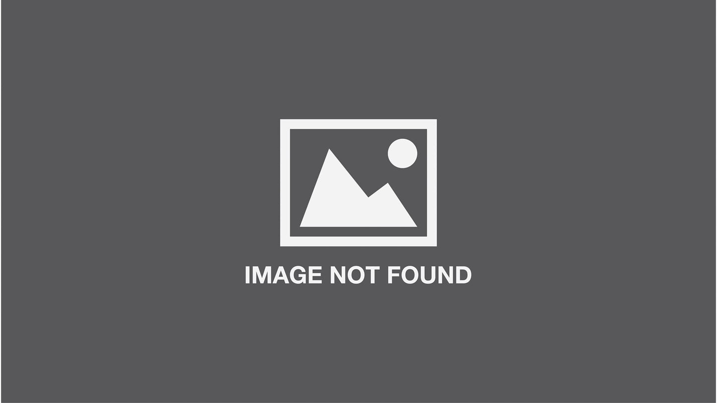 A Treasury of Christmas Stories: Festive Tales and Songs
