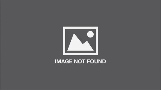 A Treasury of Christmas Stories: Festive Tales and Songs