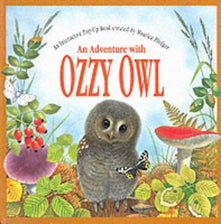 Interactive Pop-up Book (Maurice Pledger pop-up series)