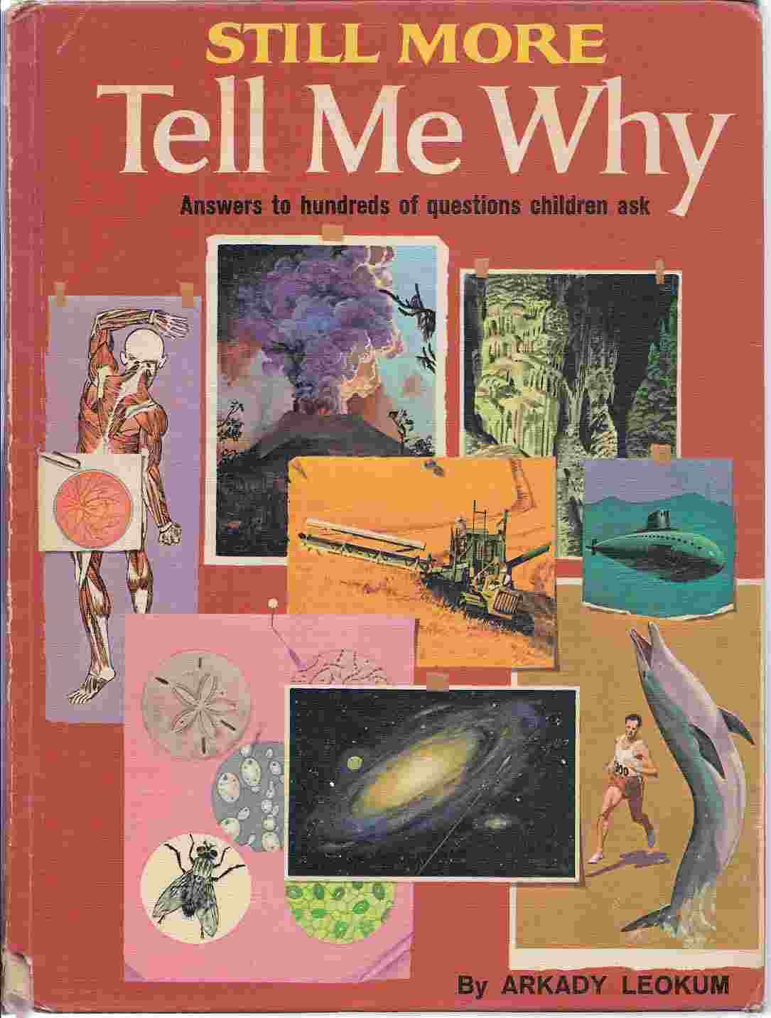 Still More Tell Me Why