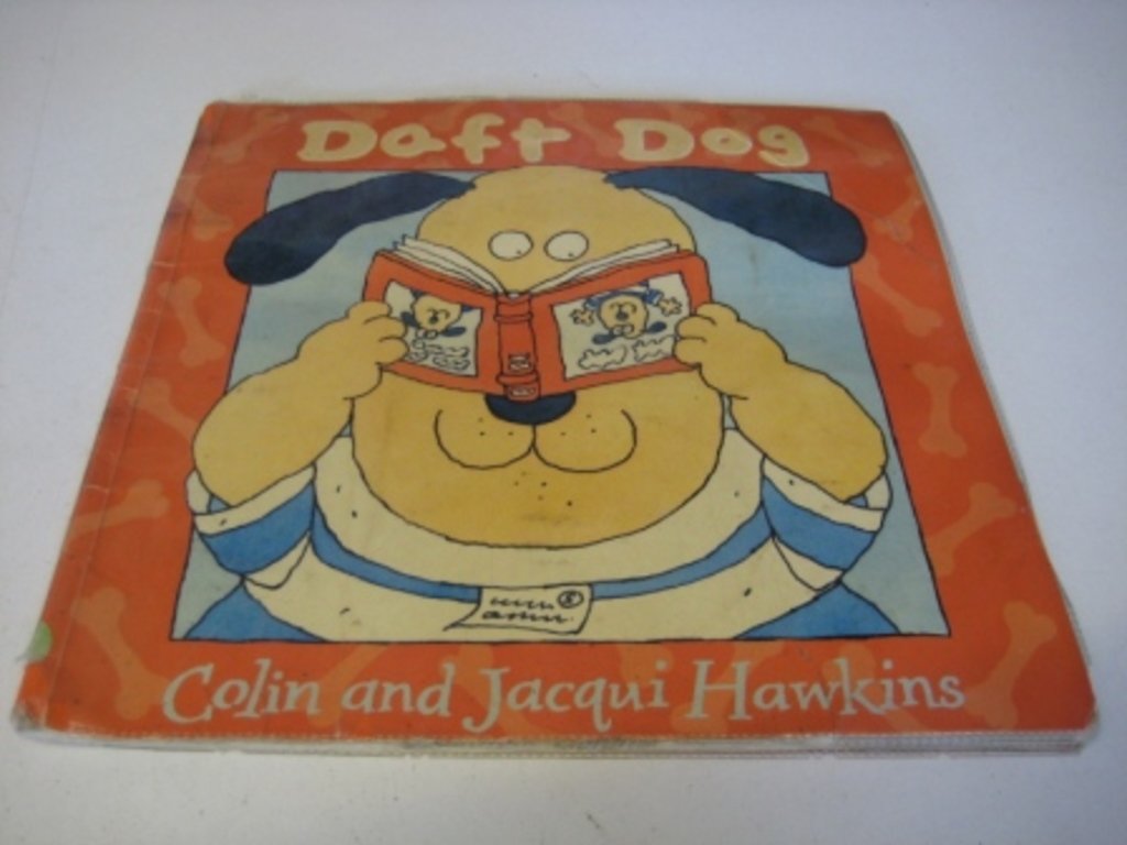 Daft Dog (Collins picture lions)