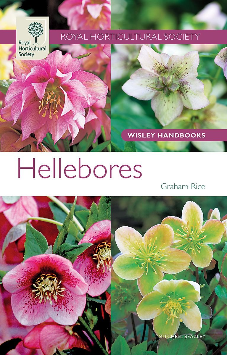 RHS Wisley Handbook: Hellebores (Royal Horticultural Society Wisley Handbooks)