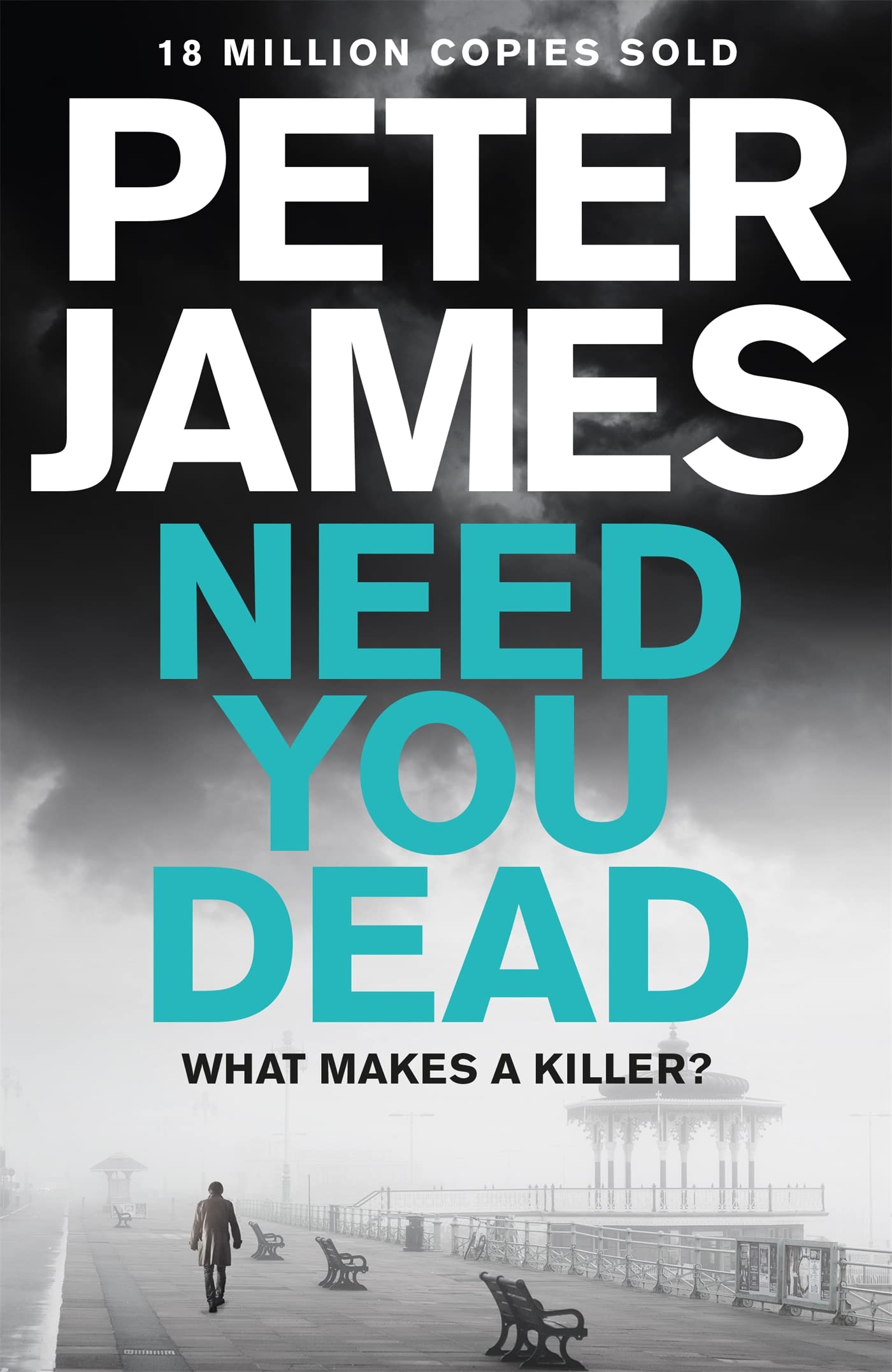 Need You Dead: Peter James (Roy Grace)