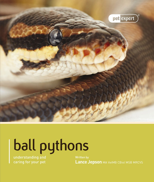 Ball Pythons - Pet Expert: Understanding and Caring for Your Pet